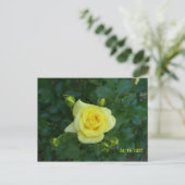 100_3464 POSTKARTE (Stehend Vorderseite)