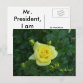 100_3464 POSTKARTE (Vorne/Hinten)