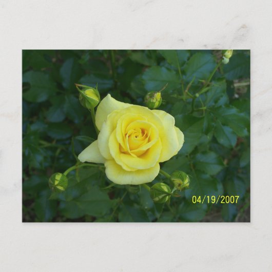 100_3464 POSTKARTE (Vorderseite)