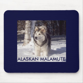 100_5815, ALASKISCHER MALAMUTE MOUSEPAD