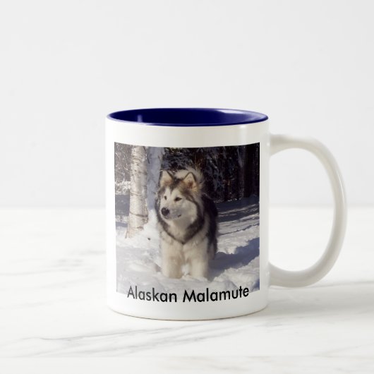 100_5815, alaskischer Malamute Zweifarbige Tasse (Rechts)