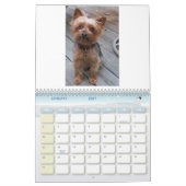 100_5963, i-Liebe Yorkies! Kalender (Jan 2027)