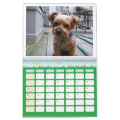 100_5963, i-Liebe Yorkies! Kalender (Mär 2027)