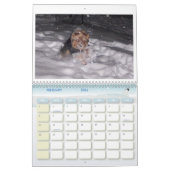 100_5963, i-Liebe Yorkies! Kalender (Feb 2026)