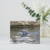 100_8578, KEY LARGO FLORIDA POSTKARTE (Stehend Vorderseite)