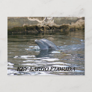 100_8578, KEY LARGO FLORIDA POSTKARTE