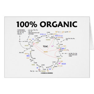 100% Bio (Zitronensäuren-Zyklus - Krebs Zyklus)