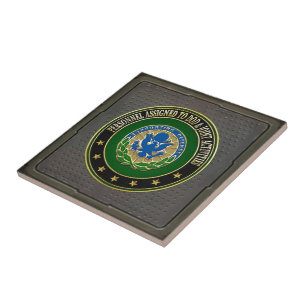 [100] DOD & Joint Activities DUI Special Edition Fliese