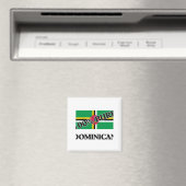 100 % DOMINIKANER MAGNET (In Situ (Geschirrspüler))