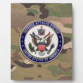 [100] Emblem des U.S. Defense Attaché System (DAS) Fotoplatte (Vorderseite)