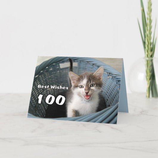 100. Geburtstag Crazy Kitten Karte (Vorderseite)