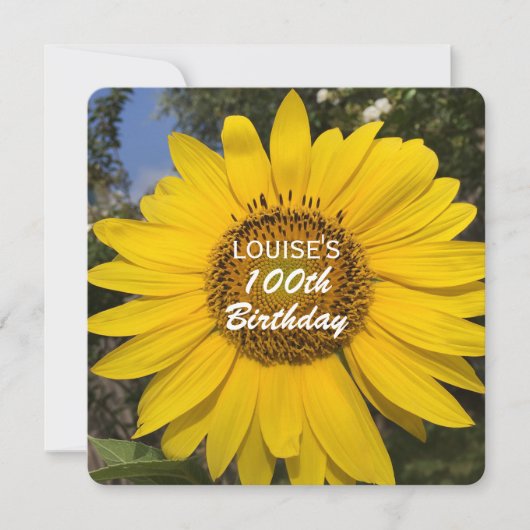 100. Geburtstagsparty Sonnenblumen Einladung (Vorderseite)