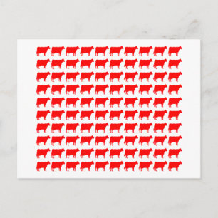 100 Kühe - rot Postkarte