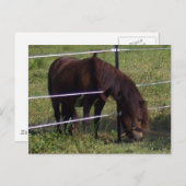 100 POSTKARTE (Vorne/Hinten)