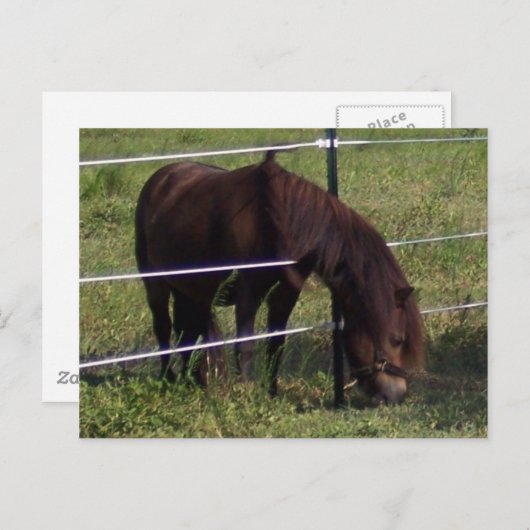 100 POSTKARTE (Vorne/Hinten)