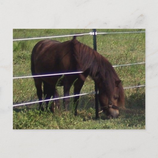 100 POSTKARTE (Vorderseite)