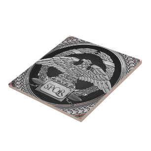 [100] Silberrömischer Kaiseradler über Medallion Fliese