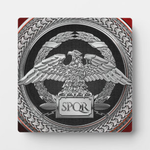[100] Silberrömischer Kaiseradler über Medallion Fotoplatte