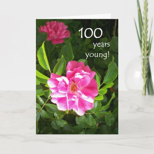 100th Geburtstags-Karte - rosa Rosen Karte (Vorderseite)