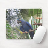 101_0361 MOUSEPAD (Mit Mouse)