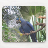 101_0361 MOUSEPAD (Vorne)