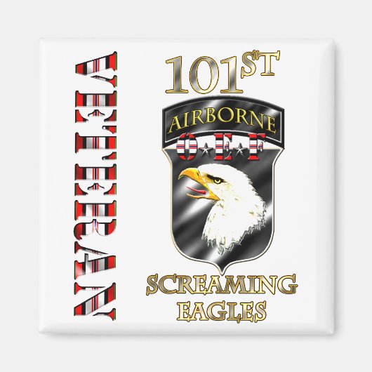 101. Im Flugzeug Abteilung OEF Veteran Magnet (Vorne)