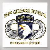 101. Im Flugzeug Division Poster (Vorne)