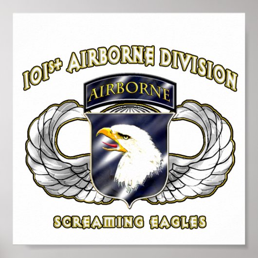 101. Im Flugzeug Division Poster (Vorne)