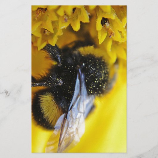 101.JPG BRIEFPAPIER (Vorderseite)