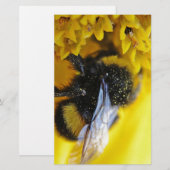 101.JPG BRIEFPAPIER (Vorne/Hinten)