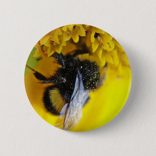 101.JPG BUTTON (Vorderseite)