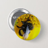 101.JPG BUTTON (Vorne & Hinten)