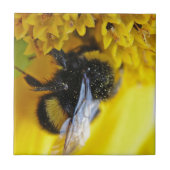 101.JPG FLIESE (Vorderseite)