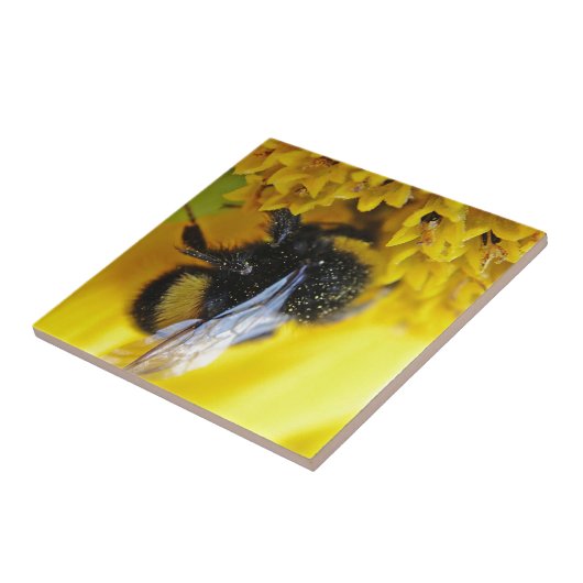 101.JPG FLIESE (Seite)