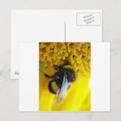 101.JPG POSTKARTE (Vorne/Hinten)