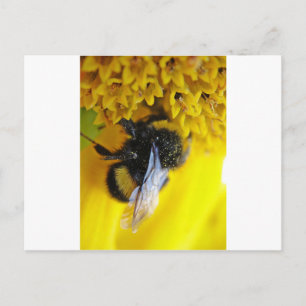 101.JPG POSTKARTE
