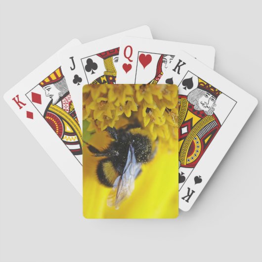 101.JPG SPIELKARTEN (Rückseite)