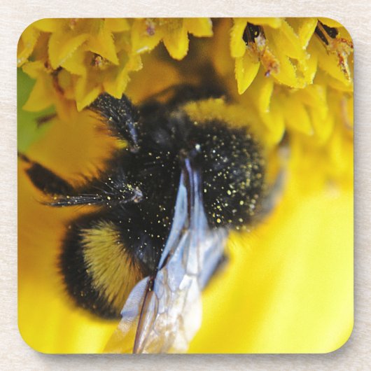 101.JPG UNTERSETZER (Vorderseite)