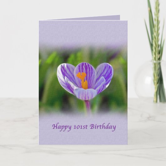 101st Birthday, Religious, Crocus Flower Karte (Vorderseite)