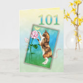 101st Geburtstag mit einer spielerischen Katze Karte (Gelbe Blume)