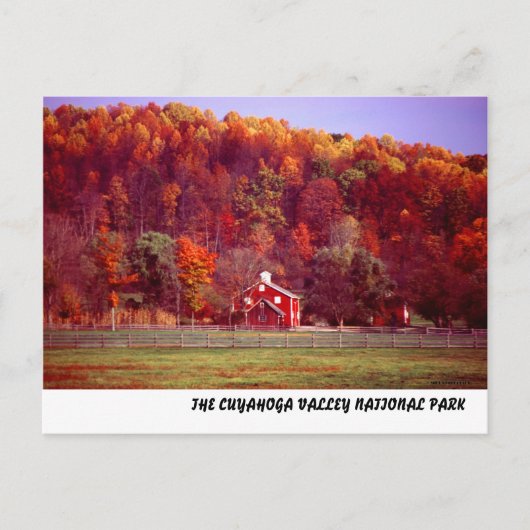 102701-16PC POSTKARTE (Vorderseite)