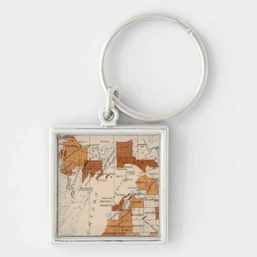 102 Verbrauch Michigan Schlüsselanhänger (Vorne)