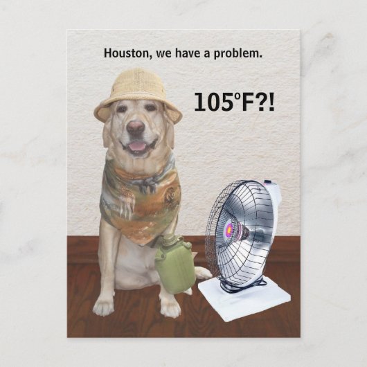 105 F?! POSTKARTE (Vorderseite)