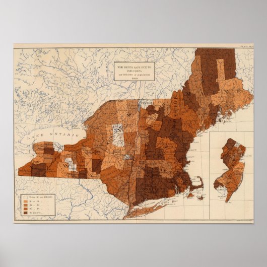 107 Influenza NY, NJ, New England Poster (Vorne)