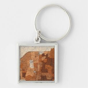 107 Influenza NY, NJ, New England Schlüsselanhänger