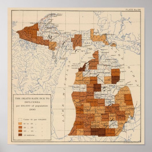 108 Influenza Michigan Poster (Vorne)