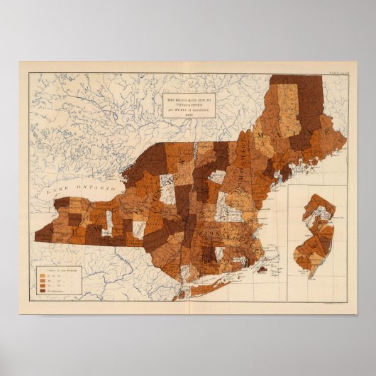 109 Typhus Fieber NY, NJ, New England Poster (Vorne)