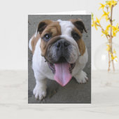 10-04-05 003 KARTE (Gelbe Blume)