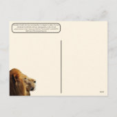 10.08. Weltleitstag Feiertagspostkarte (Rückseite)