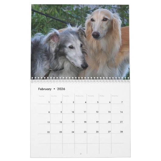 10 2016 seidener Windhounds Kalender (Feb 2026)